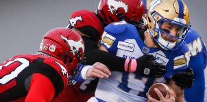 CFL Week 20 Odds, Preview and Picks