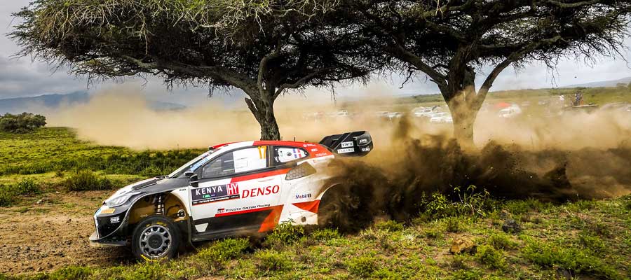 WRC Rally Estonia Betting Favorites, Analysis & Prediction