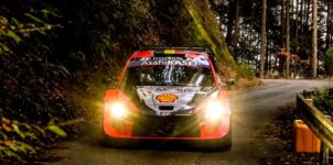 WRC Rally Japan Odds, Betting Favorites, Analysis & Winning Pick - 2024 Season